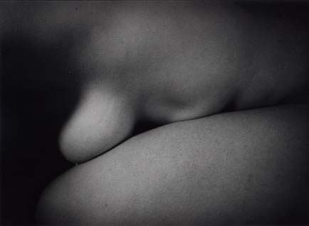 abstraction of a nude body (detailing a thigh and breast)